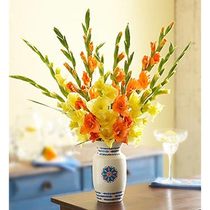 Seasonal bouquet - Gladioluses