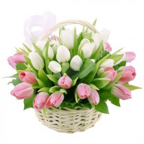 Basket of white-pink tulips for Mom